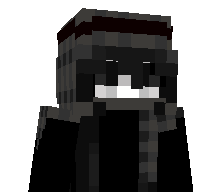 KIDSSJ's skin