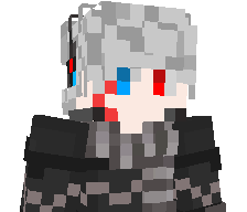 ssx66's skin