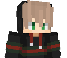 _The_Rocket_Pro_'s skin