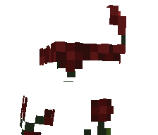 qooriye's skin
