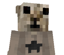 shipterchk's skin