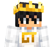 GT1617's skin