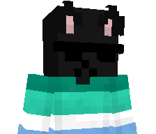 CoolAxik's skin