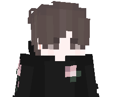 0xWave's skin