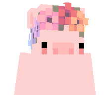 Sute1sh's skin