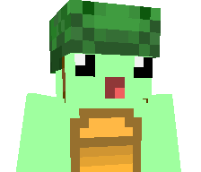 Mister_Turtle_'s skin