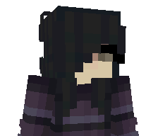 Maxblockster's skin