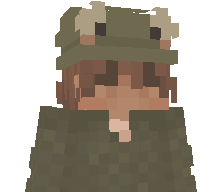 louisxlll's skin