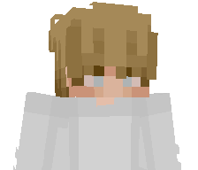 PovertyGaming's skin