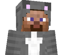 qfragzs's skin