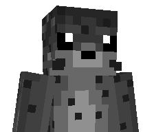 5aoirse's skin