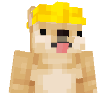BrolyBuilder's skin