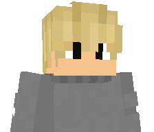 The_Vilza's skin