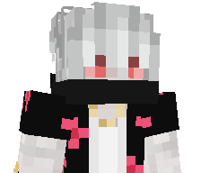 85ir's skin
