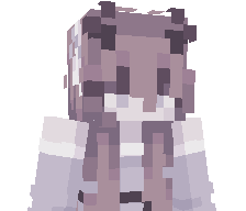 2060P's skin