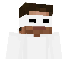 Plicense's skin