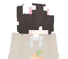 PPleBan's skin
