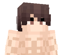 Sn0wyWint3rz's skin