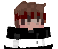 Ninja_Galletas's skin