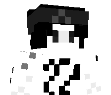 P4radize's skin