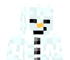 snowminionguy's skin