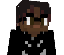 psrk's skin