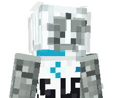 NicciWarrior's skin