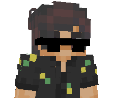 hkvi's skin