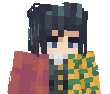 Hamedwashere's skin