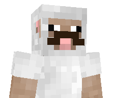 Mr_Pringlesss's skin