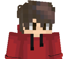DragonsPro334's skin