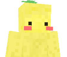 LemonTerror2278's skin