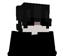 Austin991011's skin
