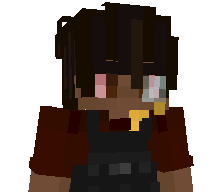 NuRisk's skin