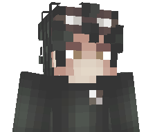 Lorch1kk's skin