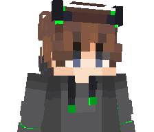 VoidGaming66's skin