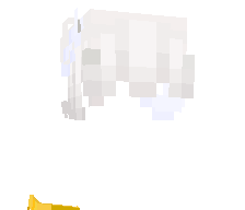arakonn's skin