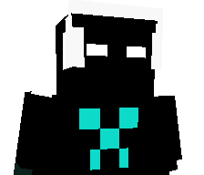 rjthestargamer's skin