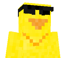 Gamer1se1's skin