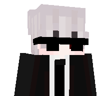 ra1lgamer's skin