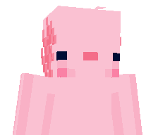 Chr1ssee's skin