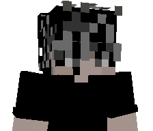 bi2bird's skin