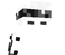 Mynx_x's skin