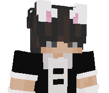 ittz_soin's skin