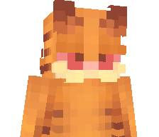 WKOLLO's skin