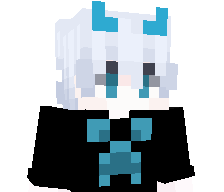 AmirLOrd's skin
