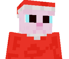 Bingus_El_Gato's skin