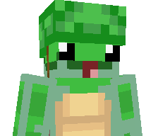Franklinlatortue's skin