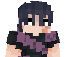 wiryyy's skin