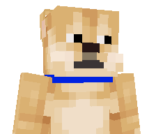 TheHavo's skin